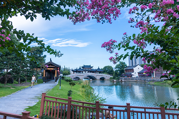 萧王庙街道：千年古镇开出共富花